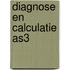 diagnose en calculatie AS3