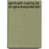 Spirituele coping bij longkankerpatienten