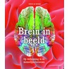 Brein in beeld door Denis Le Bihan