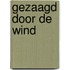 Gezaagd door de wind