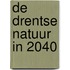 De Drentse natuur in 2040