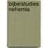 Bijbelstudies Nehemia