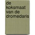 De koksmaat van de dromedaris