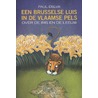 Een Brusselse luis in de Vlaamse pels door Paul Delva