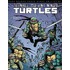 Teenage mutant ninja turtles