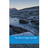 The failure of Spyker and Saab by R.M. van Schaik