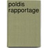 POLDIS rapportage