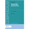 Compendium van het burgerlijk procesrecht by A.S. Rueb