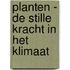 Planten - De stille kracht in het klimaat