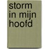 Storm in mijn hoofd