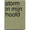 Storm in mijn hoofd by Fanny Vandels