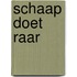 Schaap doet raar