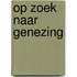 Op zoek naar genezing