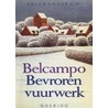 Bevroren vuurwerk door Belcampo