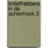 Tinliefhebbers in de achterhoek 2
