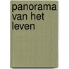 Panorama van het leven door Lalsing Goerdayal