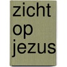 Zicht op Jezus door Evert Barten