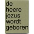 De Heere Jezus wordt geboren