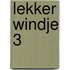 Lekker windje 3