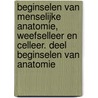 Beginselen van menselijke anatomie, weefselleer en celleer. Deel beginselen van anatomie door K.G. Tournoy