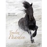Tomeloze paarden by Emmanuelle Brengard