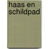 Haas en schildpad