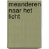 Meanderen naar het licht