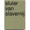 Sluier van slavernij by Robin Roelofs