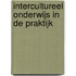 Intercultureel onderwijs in de praktijk