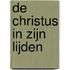 De Christus in zijn lijden