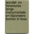 Wandel- en fietsroutes langs monumentale en bijzondere bomen in Lisse