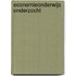 Economieonderwijs onderzocht