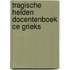 Tragische helden docentenboek ce Grieks
