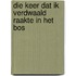 Die keer dat ik verdwaald raakte in het bos
