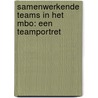 Samenwerkende teams in het mbo: een teamportret door Patricia Brouwer