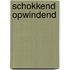 Schokkend opwindend