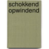 Schokkend opwindend door Caitlin Crews