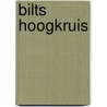 Bilts Hoogkruis by Gert Landman