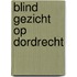 Blind gezicht op Dordrecht