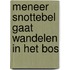 Meneer Snottebel gaat wandelen in het bos