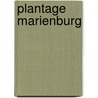 Plantage Marienburg door Toekijan Soekardi