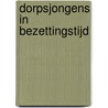 Dorpsjongens in bezettingstijd door A.B. Goedhart