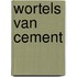 Wortels Van Cement