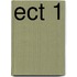 ECT 1