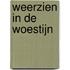 Weerzien in de woestijn