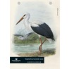 Vogelscheurkalender by Sander Blom