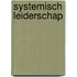 Systemisch Leiderschap