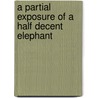 A partial exposure of a half decent elephant door Tine van Aerschot