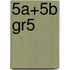 5A+5B gr5