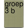 groep 3 b door B. Klaassen-Poyck